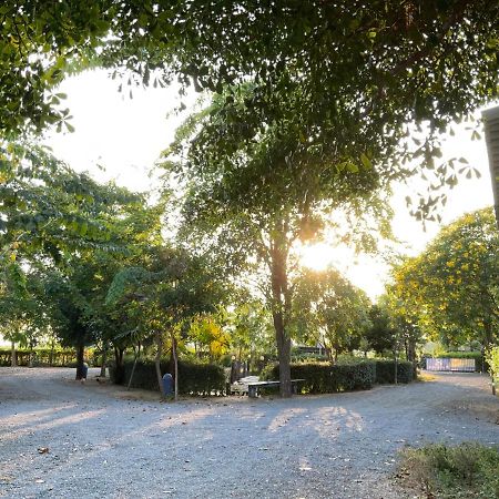 Baan Tonjaeng Resort Chai Nat Екстериор снимка