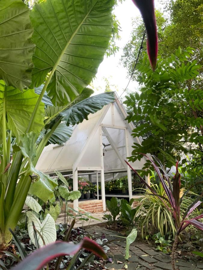 Baan Tonjaeng Resort Chai Nat Екстериор снимка